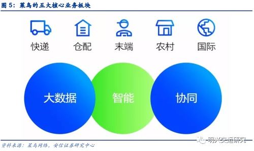 菜鳥網(wǎng)絡(luò) 不止是快遞，更是企業(yè)網(wǎng)絡(luò)技術(shù)服務(wù)的領(lǐng)航者